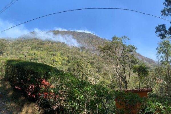 Incêndio em mata de Lumiar assusta moradores de Nova Friburgo