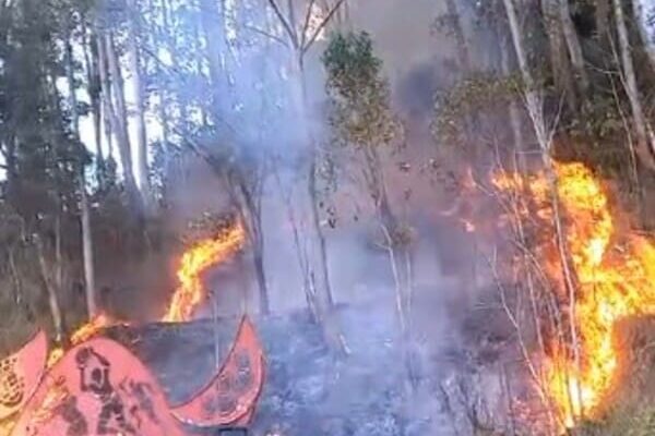 Incêndio na Via Expressa - Mulher afirma ter visto homem suspeito de iniciar fogo