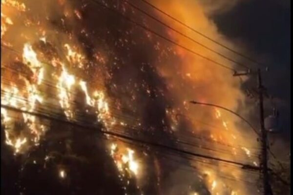 Incêndio no Itanhangá no Rio de Janeiro teve rolamento de pedra