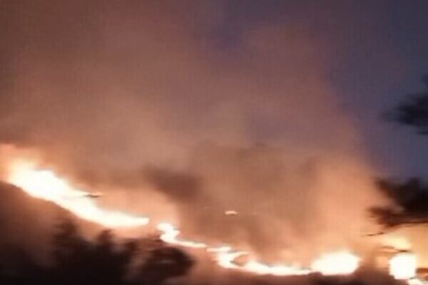 Incêndio no Parque Estadual dos Três Picos em Nova Friburgo