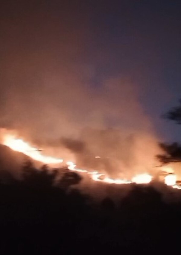 Incêndio no Parque Estadual dos Três Picos em Nova Friburgo