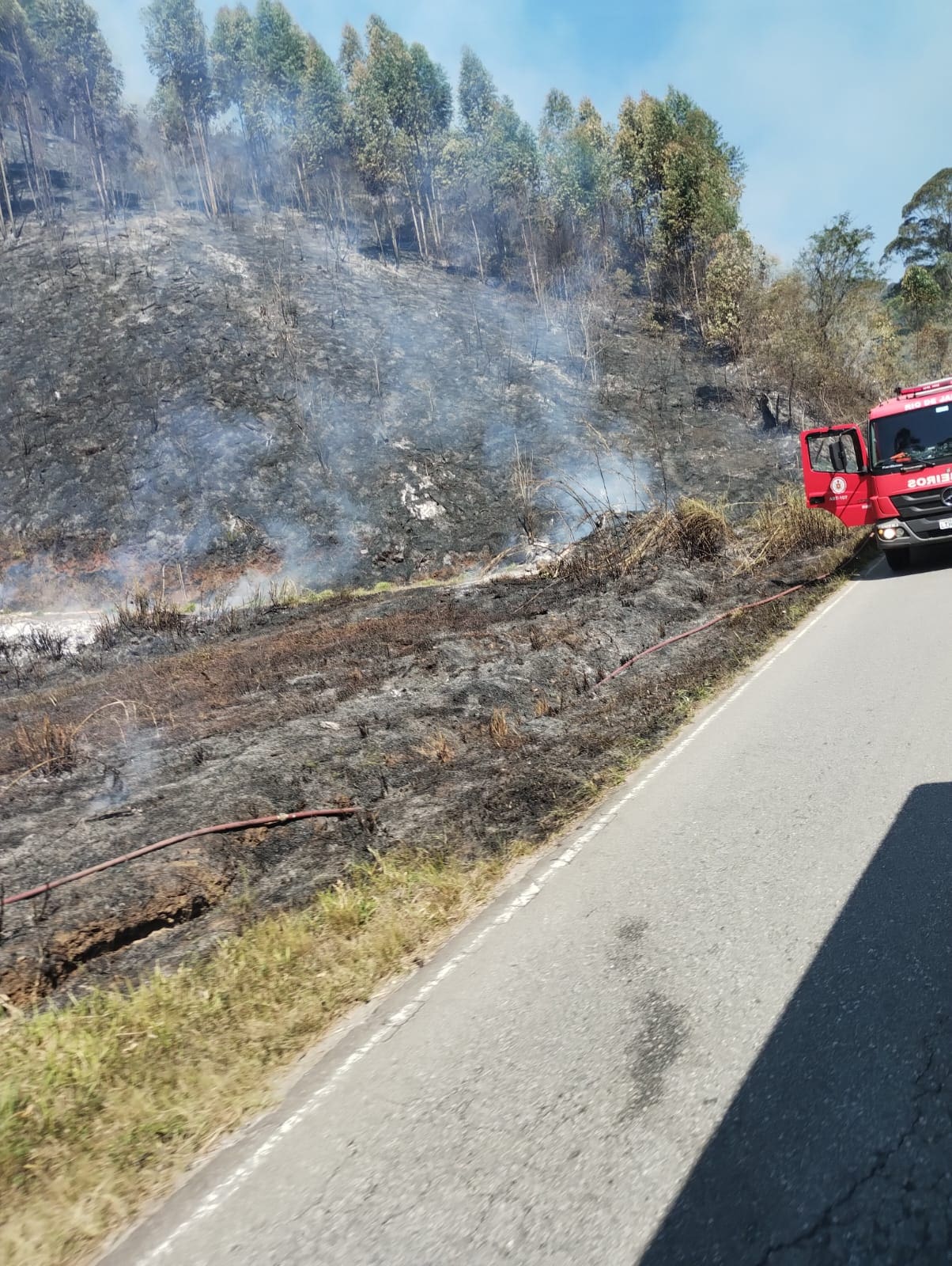 Incêndio no distrito de Lumiar em Nova Friburgo causa preocupação