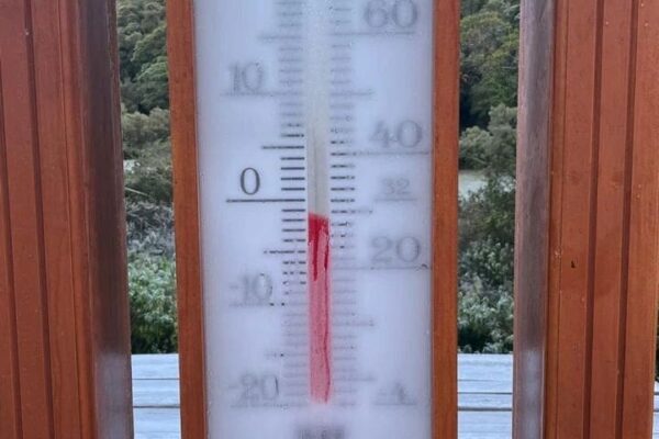 Itatiaia registrou temperatura negativa pela primeira em 2025 - Foto Arquivo Ilustrativa Geada no Parque Estadual dos Três Picos em Nova Friburgo