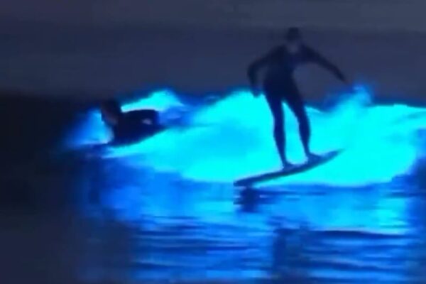 Jovens surfam em meio a fenômenos da bioluminescência em Arraial do Cabo