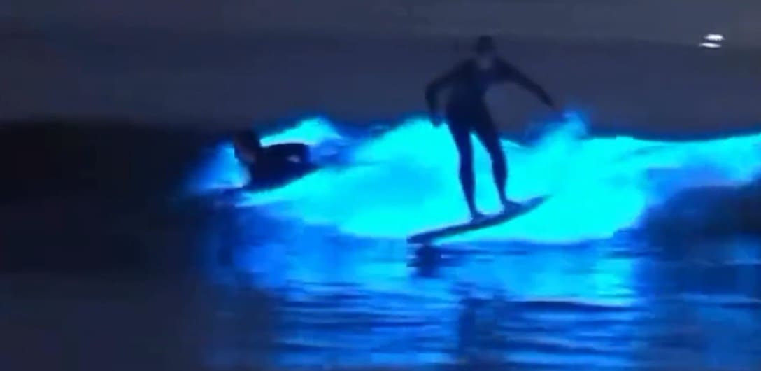 Jovens surfam em meio a fenômenos da bioluminescência em Arraial do Cabo