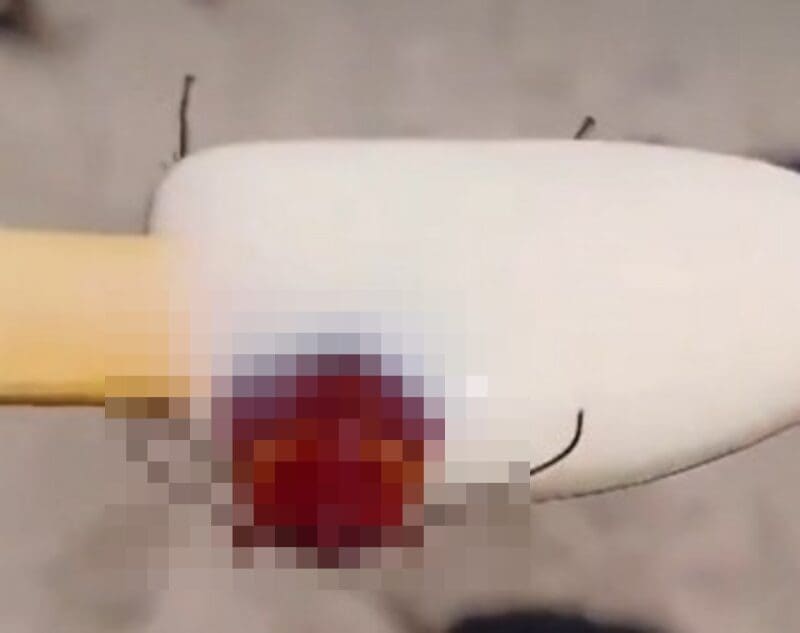 Mulher compra picolé e encontra barata congelada dentro do produto, na Praia do Recreio, no Rio de Janeiro