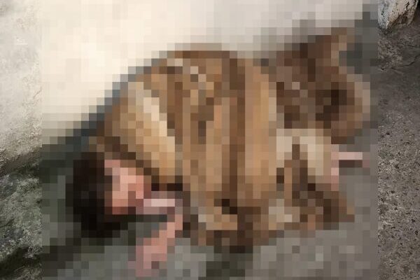 Mulher de 26 anos morre após negligência da Prefeitura de Nova Friburgo - Imagem ilustrativa