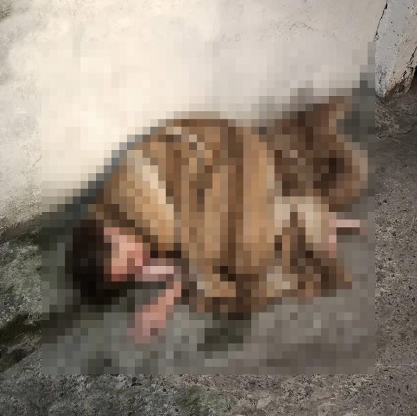 Mulher de 26 anos morre após negligência da Prefeitura de Nova Friburgo - Imagem ilustrativa