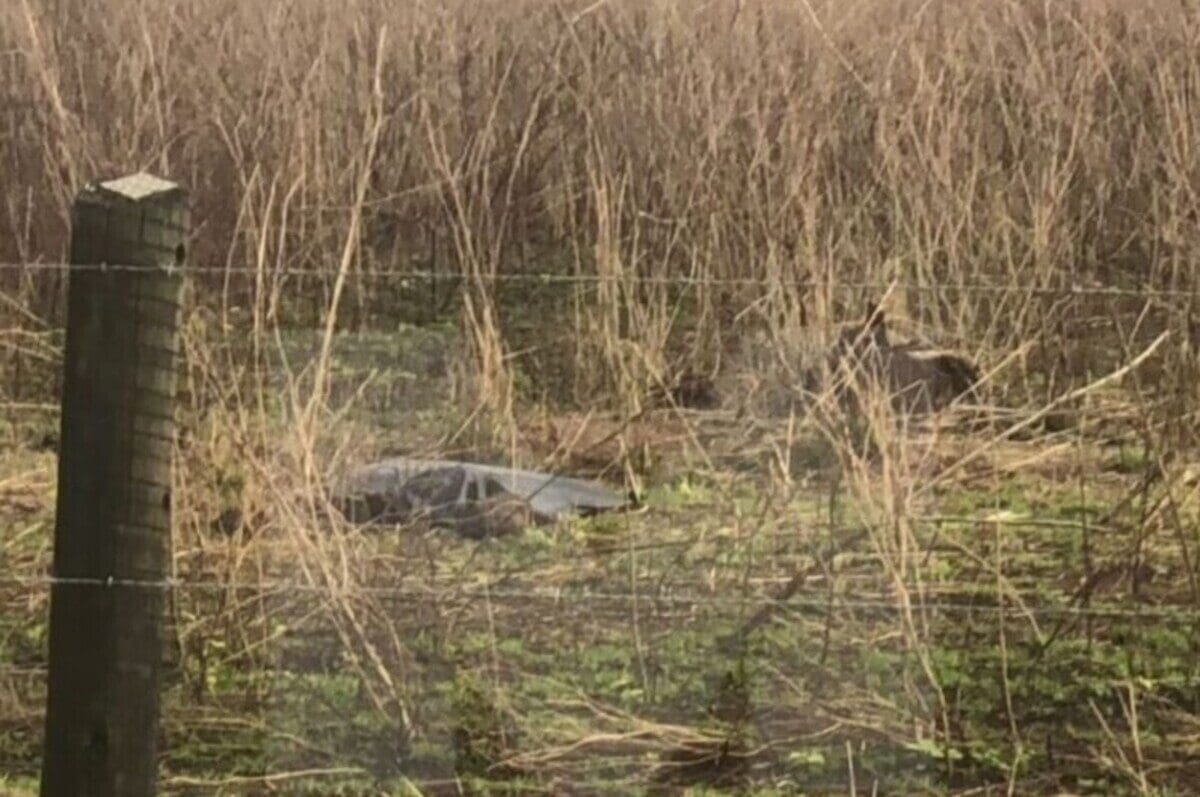 Mulher é encontrada morta com marcas de tiro em Campos dos Goytacazes