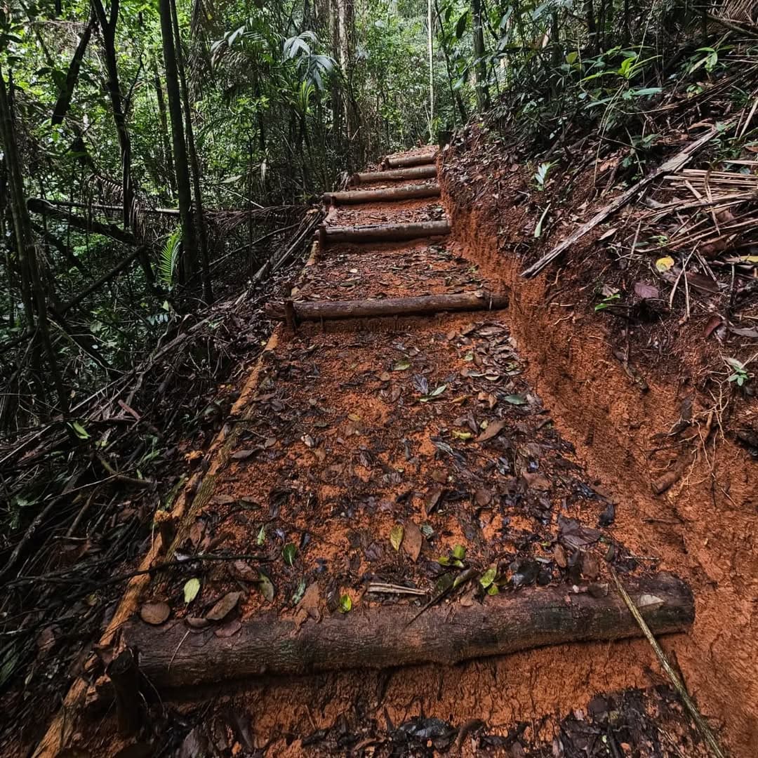 Nova Trilha do Parque Estadual dos Três Picos tem quase 1 km e fica em Teresópolis