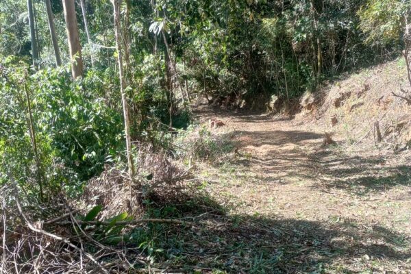 Desmatamento em Mury, na cidade de Nova Friburgo-RJ