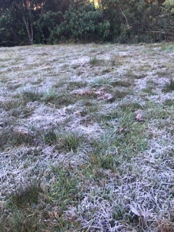Parque Estadual dos Três Picos registra geada em Nova Friburgo