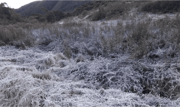 Parque Nacional de Itatiaia-RJ registrou mais uma geada - Foto Arquivo Carlos Fonseca 2019[