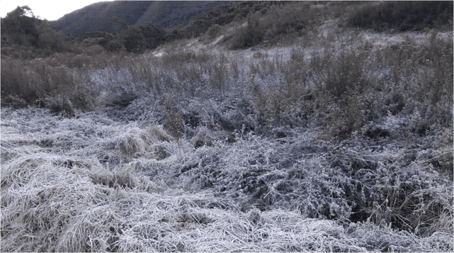 Parque Nacional de Itatiaia-RJ registrou mais uma geada - Foto Arquivo Carlos Fonseca 2019[