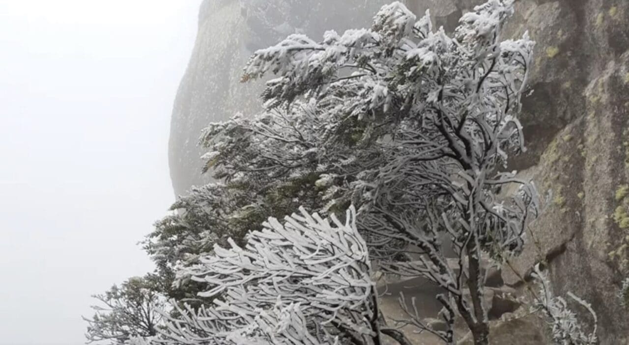 Parque Nacional de Itatiaia-RJ registrou mais uma geada e temperatura negativa - Foto Arquivo Carlos Fonseca 2019