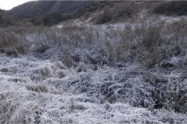 Parque Nacional de Itatiaia-RJ registrou mais uma geada e temperatura negativa - Foto Arquivo Carlos Fonseca 2019
