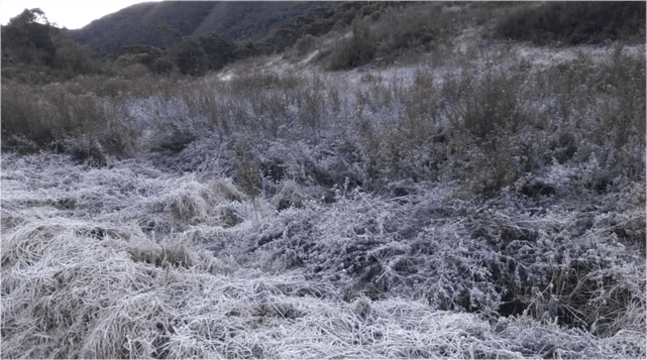 Parque Nacional de Itatiaia-RJ registrou mais uma geada e temperatura negativa - Foto Arquivo Carlos Fonseca 2019