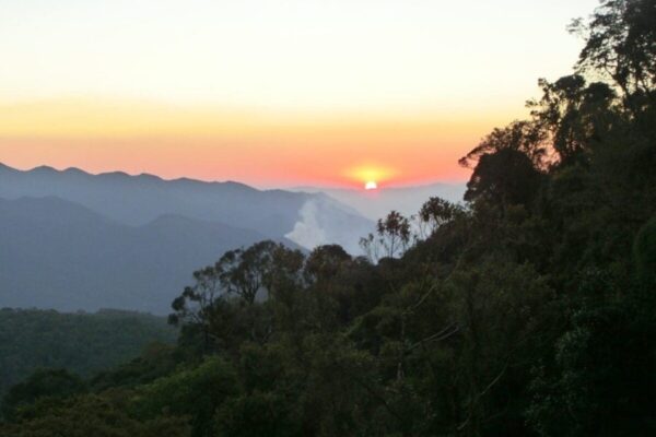 Parque Nacional de Itatiaia-Rj - Foto Roberto Shimizu por Pixabay