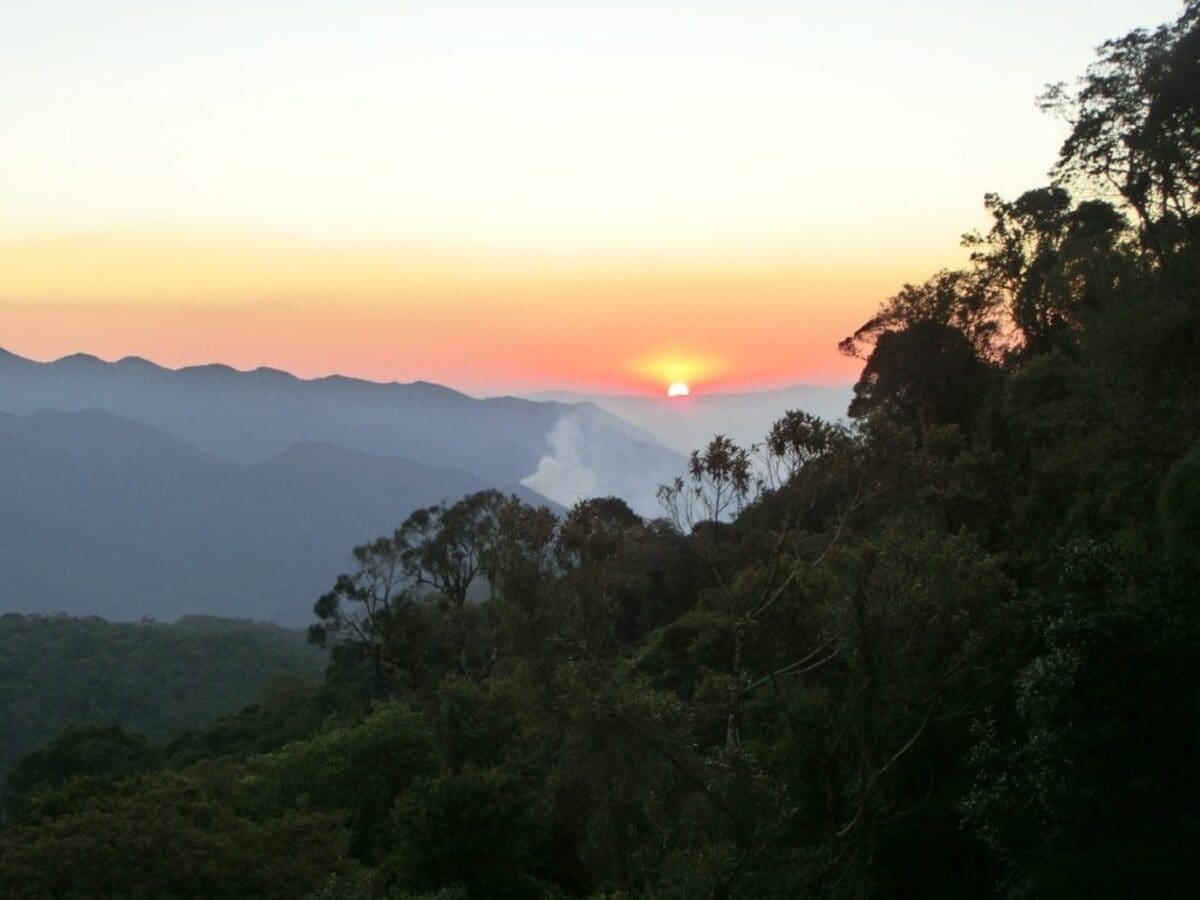 Parque Nacional de Itatiaia-Rj - Foto Roberto Shimizu por Pixabay