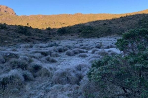 Parque Nacional de Itatiaia-Rj registra geada - Imagem arquivo 2021