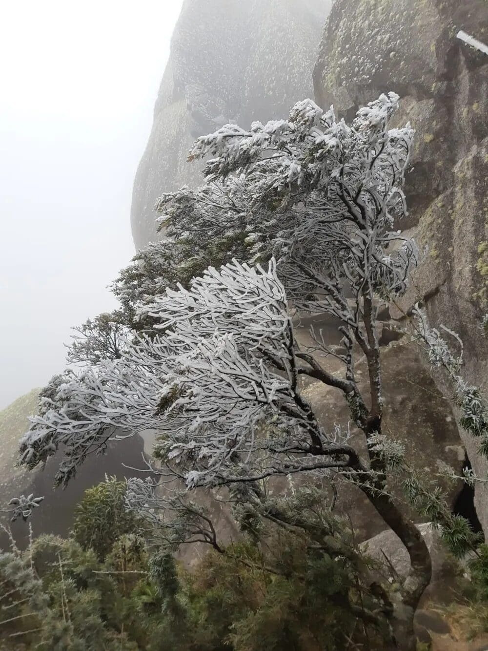 Parque Nacional de Itatiaia-Rj registra geada em 2022 - Foto Jonathan Rocha (1)