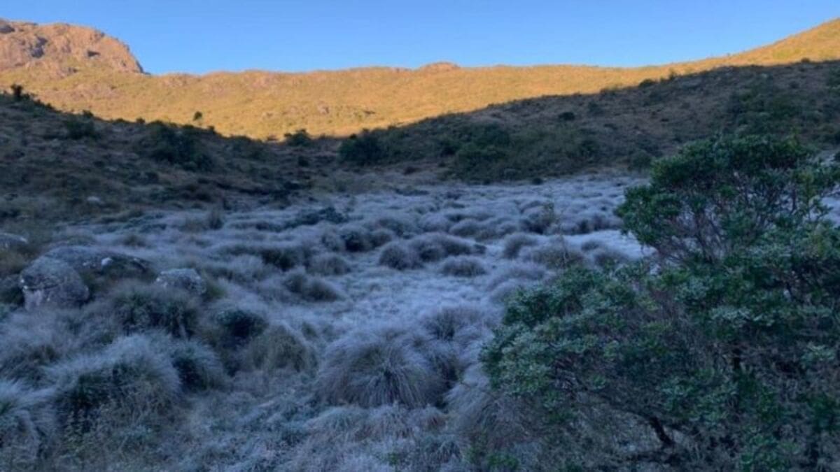 Parque Nacional de Itatiaia-Rj registra geada em 2024 - Imagem arquivo 2021