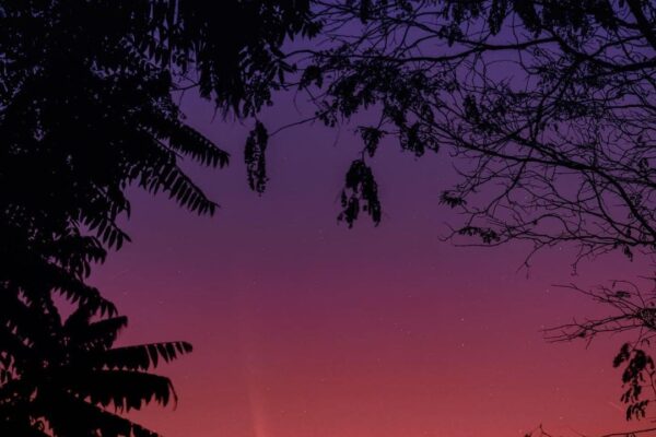 Pedro Bessa realiza mais um registro incrivel de Cometa do Século - Foto feita em Cordeiro