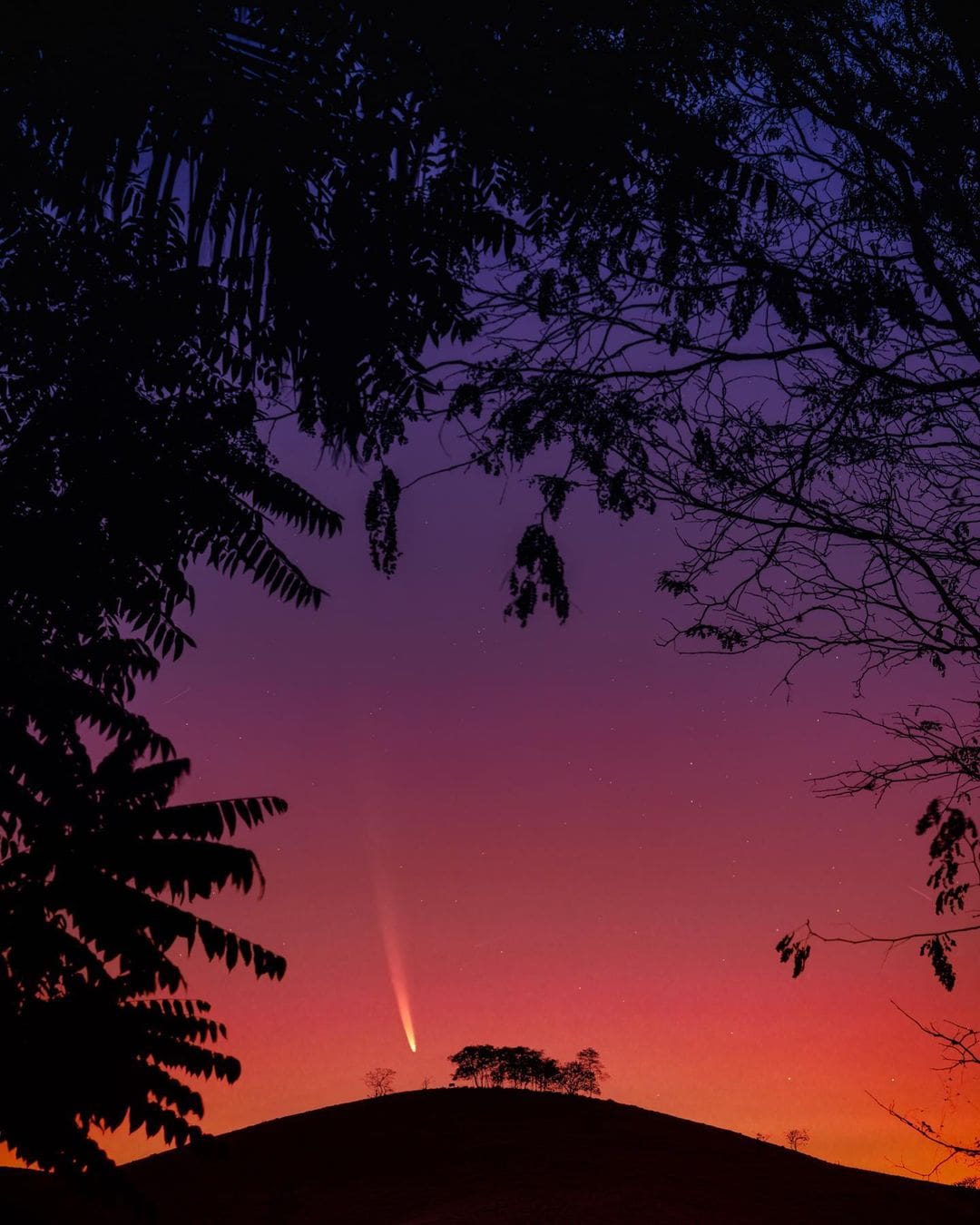 Pedro Bessa realiza mais um registro incrivel de Cometa do Século - Foto feita em Cordeiro