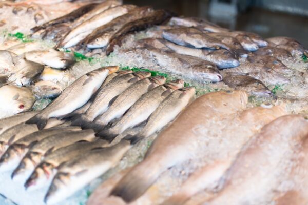 Peixaria foi multada em Nova Friburgo oi multada às vésperas da Páscoa