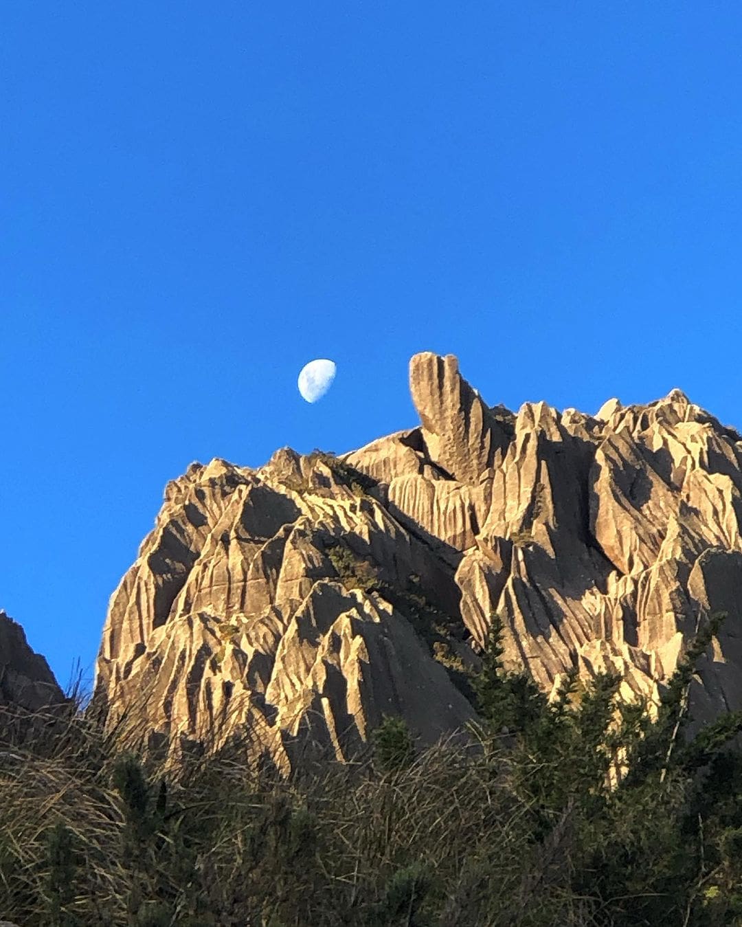 Pico das Agulhas Negras registra uma das menores temperaturas do Brasil - Parque Nacional de Itatiaia (2)