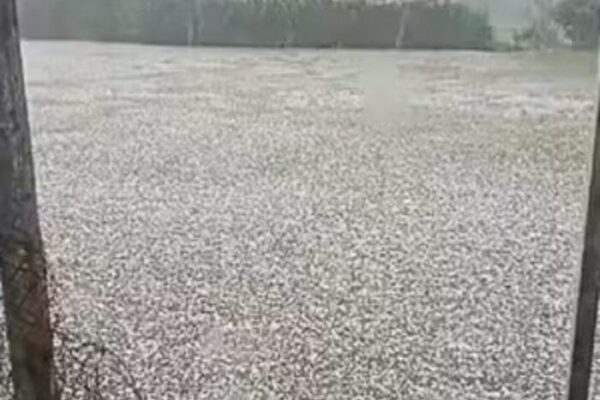 Plantações cobertas de gelo em Teresópolis-RJ após chuva de granizo