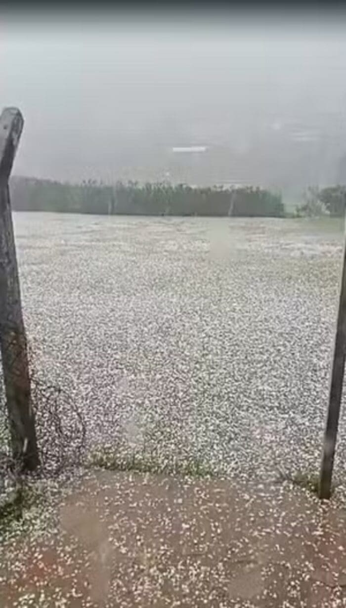 Plantações cobertas de gelo em Teresópolis-RJ após chuva de granizo