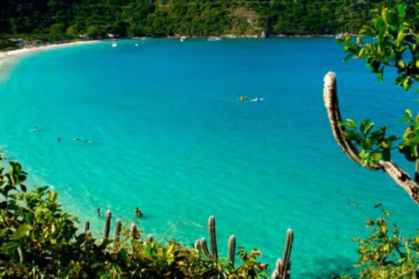 Praia Lopes Mendes, em Ilha Grande-RJ, é considerada uma das praias mais bonitas e limpas do Brasil - Foto - Reprodução Internet (4)