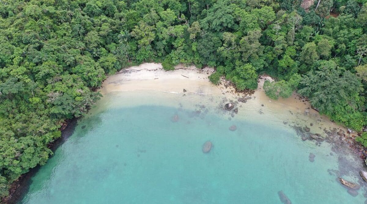 Praia do Tanguazinho em Ilha Grande é uma das belezas naturais da Costa Verde do Rio de Janeiro - Foto TripAdvisor