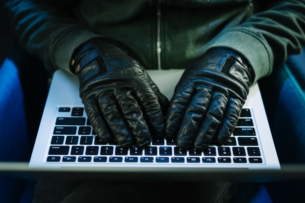 Prefeitura de Nova Friburgo alerta para golpe de falso email que aponta irregularidades em alvará de funcionamento