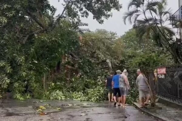 Queda de árvore na Ilha do Governador no Rio de Janeiro em frente a uma creche