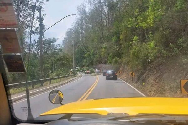 Queda de árvore na RJ 116 em Nova Friburgo