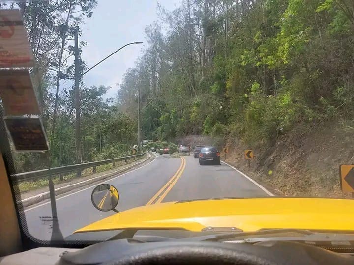 Queda de árvore na RJ 116 em Nova Friburgo
