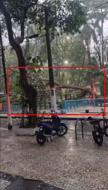 Queda de árvore no Largo dos Leões na Zona Sul do Rio de Janeiro impressionou por conta do vento forte