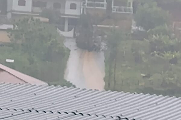 Queda de árvore no bairro São Jorge, em Nova Friburgo
