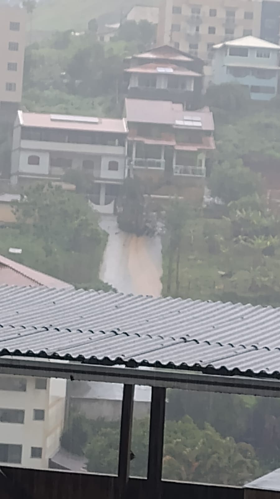 Queda de árvore no bairro São Jorge, em Nova Friburgo