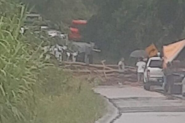 RJ 142 está totalmente interditada após árvore cair na rodovia que liga Nova Friburgo a Região dos Lagos