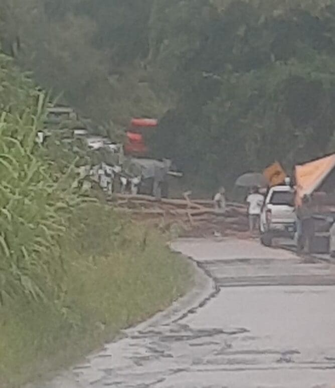 RJ 142 está totalmente interditada após árvore cair na rodovia que liga Nova Friburgo a Região dos Lagos