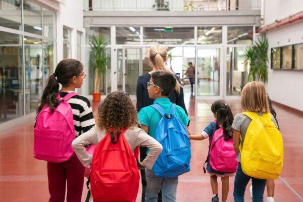 Renovação de Matrículas para rede estadual de ensino podem ser realizadas online