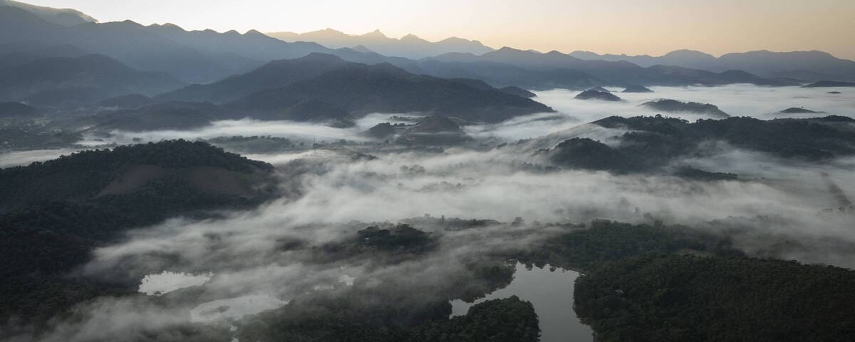 Reserva Ecológica de Guapiaçu - Jornal Folha de São Paulo