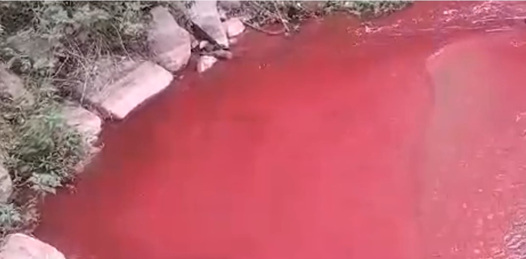 Rio vermelho chama atenção de moradores de Nova Friburgo
