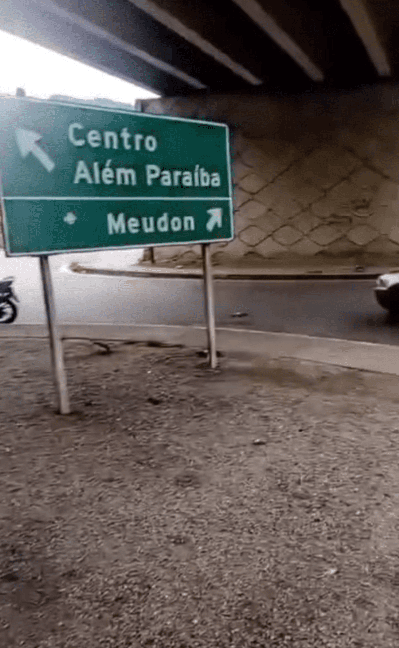 Pombos foram envenenados em Teresópolis e morador fica revoltado