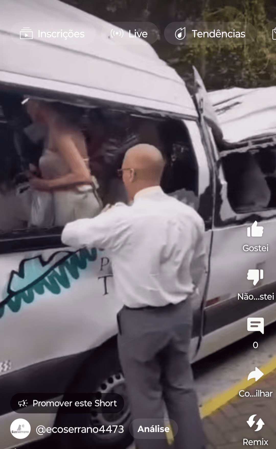 Árvore vai em cima de van cheia de turistas no Rio de Janeiro