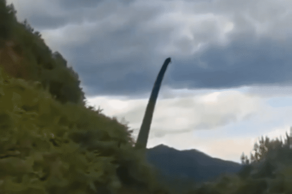 Hélice eólica é "confundida" com dinossauro