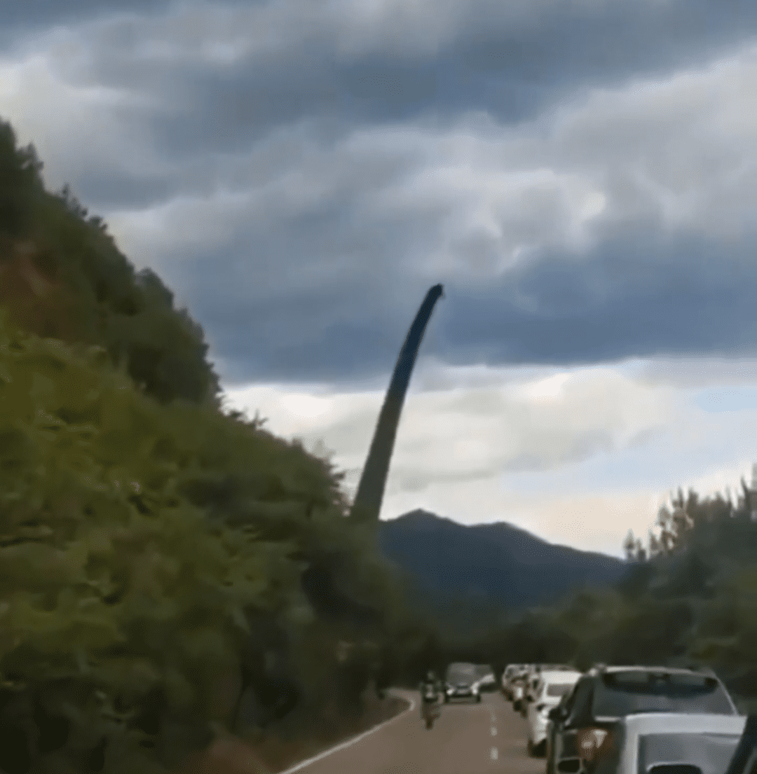 Hélice eólica é "confundida" com dinossauro